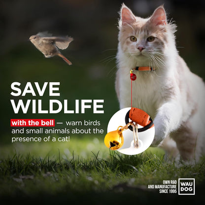 Leather Cat Collar with Bell and Safety Elastic Strap Breakaway Alternative for Small & Large Kittens, Stylish Pet Leather Collar for Boy, Girl Cats with Metal Buckle & QR ID Tag (Orange)