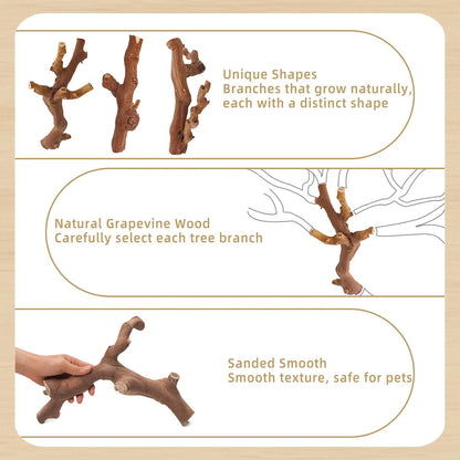 kathson 2PCS Wood Hamster Climbing Branches Decor, Natural Wooden Syrian Hamster Climb Chewing Toys, Rat Exercise Toys, Small Animal Habitat Decor Accessories for Dwarf Pets, Gerbils, Mice (7.8IN)