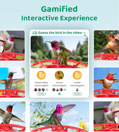 HIXX Smart Hummingbird Feeder with Camera Solar Powered, with Ant Moat & Bee Proof AI Bird Recognition, Easy Clean & Refill, with Coolfly Birdwatching APP, Ideal Gifts for Hummingbird Lover (17.5 oz)