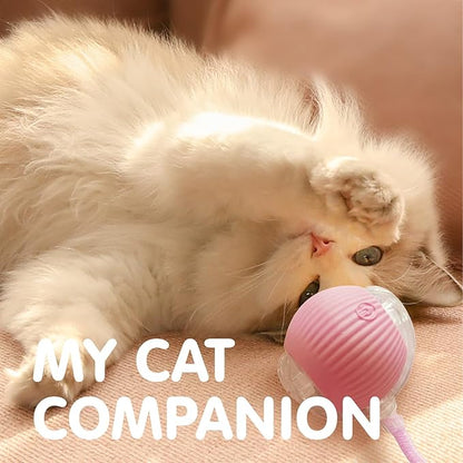 Rocfish Durable Interactive Cat Toys for Indoor Cats, Smart Automatic Cat Chase Ball Toy, Upgraded Speedy Tail Kitten Toy for Bored Indoor Adult Pets (Pink)