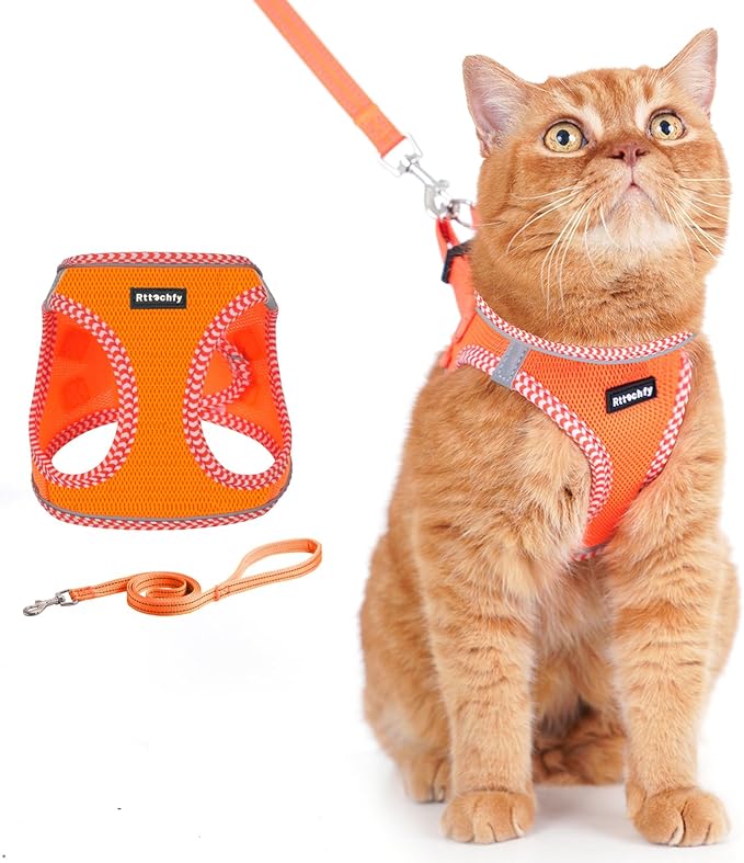 Rttochfy Cat Harness and Leash Set, Escape Proof Kitten Harness, Soft and Breathable Vest with Reflective Strip, Easy to Wear for Cats Walking and Traveling (Orange, L)