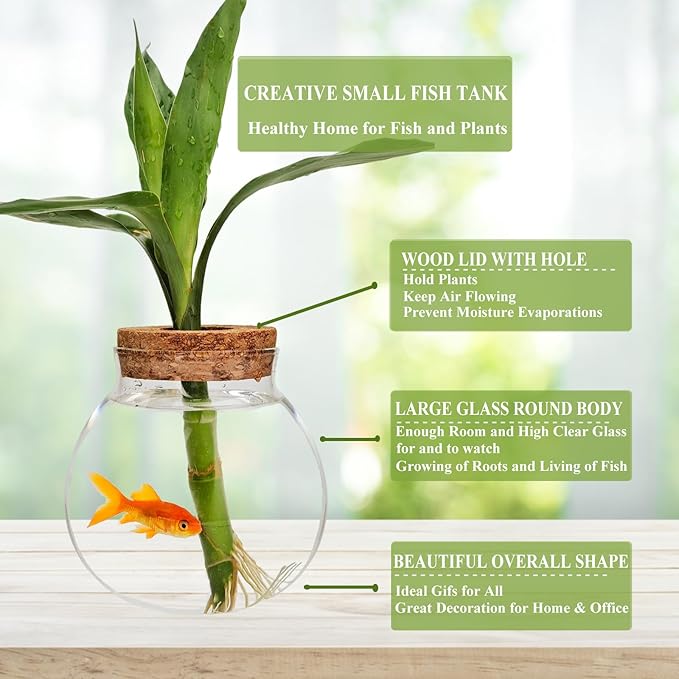 Small Betta Fish Tank Glass Fish Bowls for Betta Fish Goldfish, Aquaponic Fish Tank and Plants Cuttings Planter Terrarium Desktop Decorations Gifts