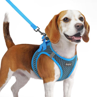 Eagloo Small Dog Harness and Leash Set, Step in Puppy Vest with Breathable Soft Mesh, Walking Reflective Pet Harness for Medium Small Dogs, Blue, M