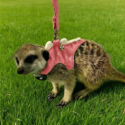 Ferret Leash and Harness Set, Dinosaur Design Small Animal Harness with Leash, Adjustable & Escape-Proof, Soft Plush Comfort for Rabbits, Kitten, Bunny, Hedgehog (Pink)