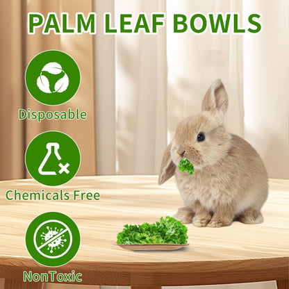 25 Pcs Disposable Palm Leaf Bowls 4 inch Bowl for Rabbits, Compostable Like Bamboo Bowls Disposable Bowl Bunny Chew Toys Chewable Dish for Rabbits,Bunnies,Hamsters,Parrot
