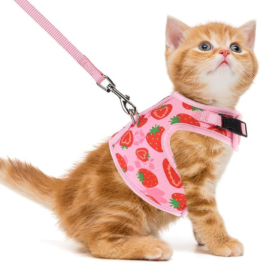 PUPTECK Soft Mesh Cat Vest Harness and Leash Set Puppy Padded Pet Harnesses Escape Proof for Cats Small Dogs Rabbits Bunny