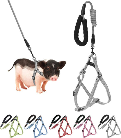 Mini Pig Harness, Adjustable Small Pig Harness with Leash Infinity Style Lead and Soft Foam Handle for Small to Medium Pet Pigs Walking Training Jogging (Gren, XL)