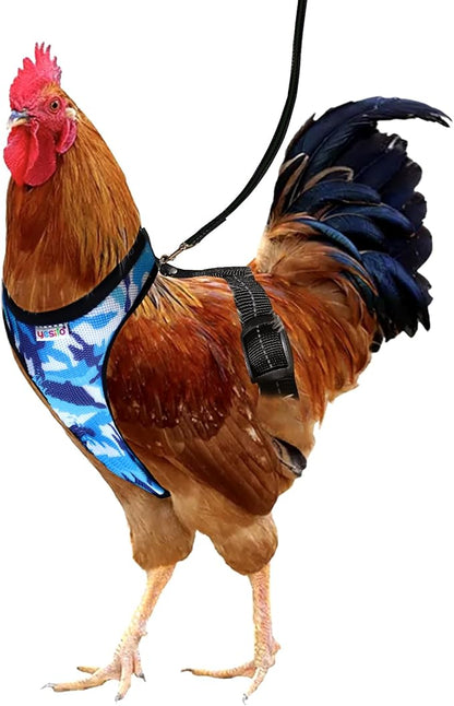 Premium Adjustable Chicken Harness with Camouflage Design & Comfortable Breathable Fabric - Includes Resilient 5.4ft Matching Leash for Secure Outing (Medium Camouflage Blue)