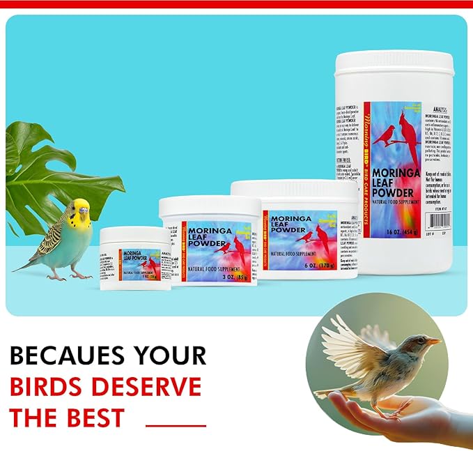 Morning Bird Moringa Leaf Powder 16 Oz – Natural Food Supplement with Omega-3, Iron, Vitamins B & K – Supports Detox, Energy, Brain & Immune Health – Clean Plant-Based Supplement for All Birds