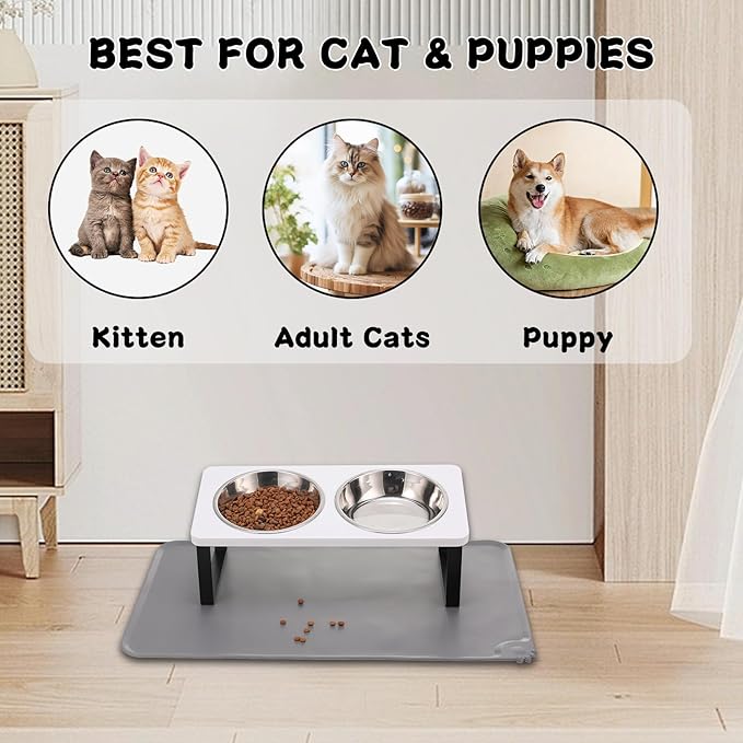 Upgraded Elevated Cat Bowls with Food Mat,15°Tilted Stand Anti Vomiting Raised Cat Dishes for Food and Water,2 Stainless Steel Bowls for Cats and Puppy（White）