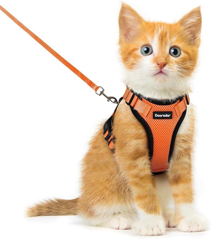 Dooradar Cat Harness and Leash Set, Escape Proof Safe Adjustable Kitten Vest Harnesses for Walking, Easy Control Soft Breathable Mesh Jacket with Reflective Strips for Cats, Orange, XXS