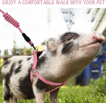 Mini Pig Harness, Adjustable Small Pig Harness with Leash Infinity Style Lead and Soft Foam Handle for Small to Medium Pet Pigs Walking Training Jogging (Pink, M)