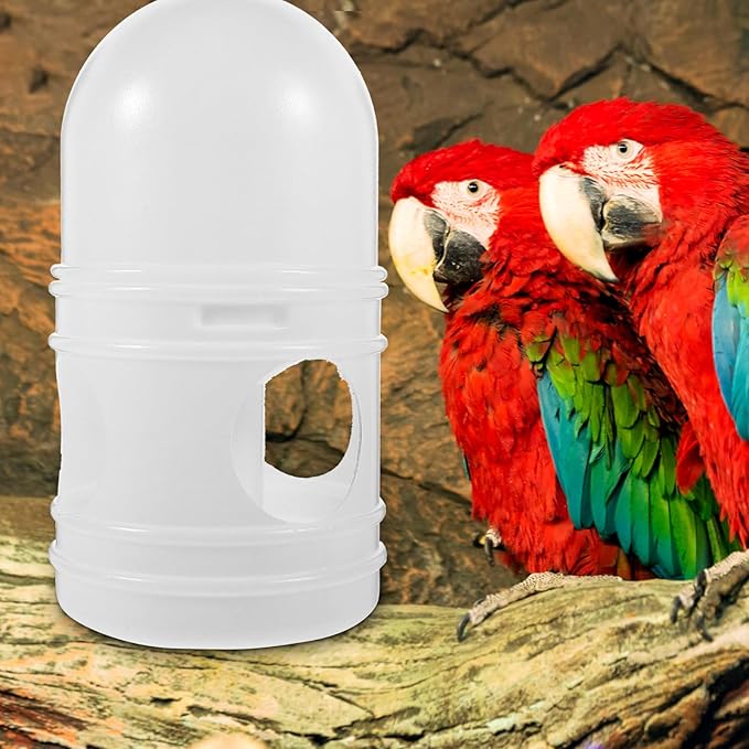Bird Feeding Dispenser Pigeon Water Dispenser - 2pcs Birds Plastic Waterer Plastic Drinker with Handle for Pigeon Birds, Automatic Feeders (1L, White) Pet Drinker