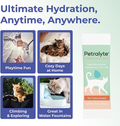 Petralyte Cat Hydration Electrolyte and Cat Joint Supplement | Hydration Support for Cats w/Glucosamine, Chondroitin, L-Glutamine, Taurine, Lysine & Prebiotics | for Tuna Lovers | 32 Packets