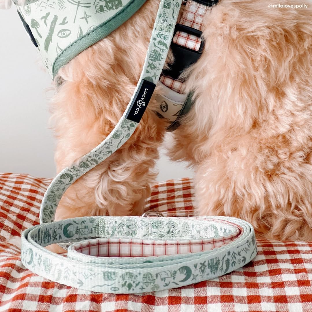 Lucy & Co. 5 Foot Designer Dog Leash for Small, Medium or Big Dogs or Puppies Puppy – Pet Accessories & Supplies- Small-Green Outdoor Plaid