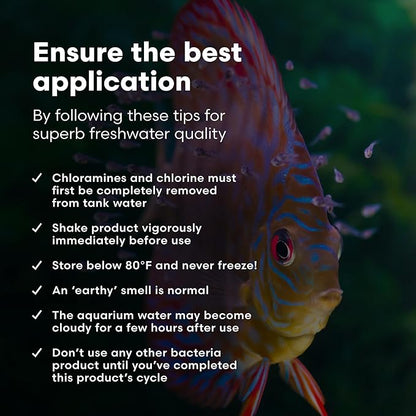 Brightwell Aquatics MicroBacter Start XLF - Concentrated Freshwater Nitrifying Bacteria - Quick Start Fish Tank Starter, Lift Microbe Levels & Water Filtering - Aquarium Water Treatments, 33.8 fl oz