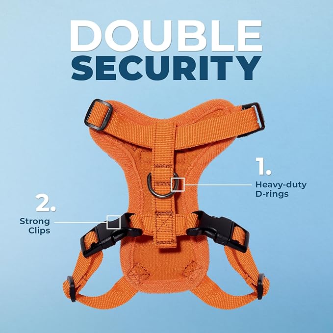 Voyager Step-in Lock Adjustable Cat Harness w. Cat Leash Combo Set with Neoprene Handle 5ft - Supports Small, Medium and Large Breed Cats by Best Pet Supplies - Orange, S