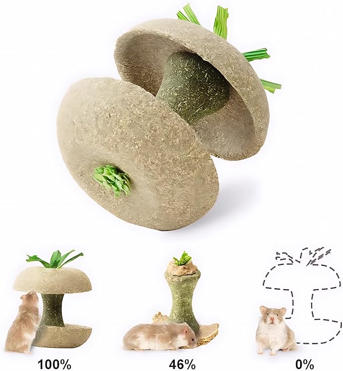mini&moe Hamster Chew Toys for Teeth - Guinea Pig Chew Toys for Teeth Food Chews Treats Hamster Cage Accessories for Rabbit, Bunny, Chinchilla, Rat and Small Animal 3.1in Apple Core Shaped