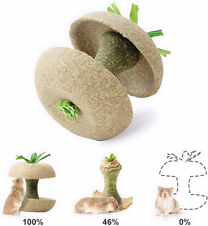 mini&moe Hamster Chew Toys for Teeth - Guinea Pig Chew Toys for Teeth Food Chews Treats Hamster Cage Accessories for Rabbit, Bunny, Chinchilla, Rat and Small Animal 3.1in Apple Core Shaped