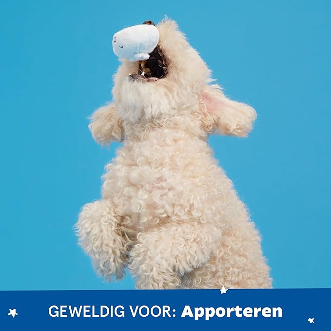 Barkbox Dog Toy 2 in 1 Interactive, Plush Exterior Material & Squeaker, Tearable Dog Toy with Squeaky Ball Inside, Ideal for Toy Destroyers - Andi's Dumpling, Small