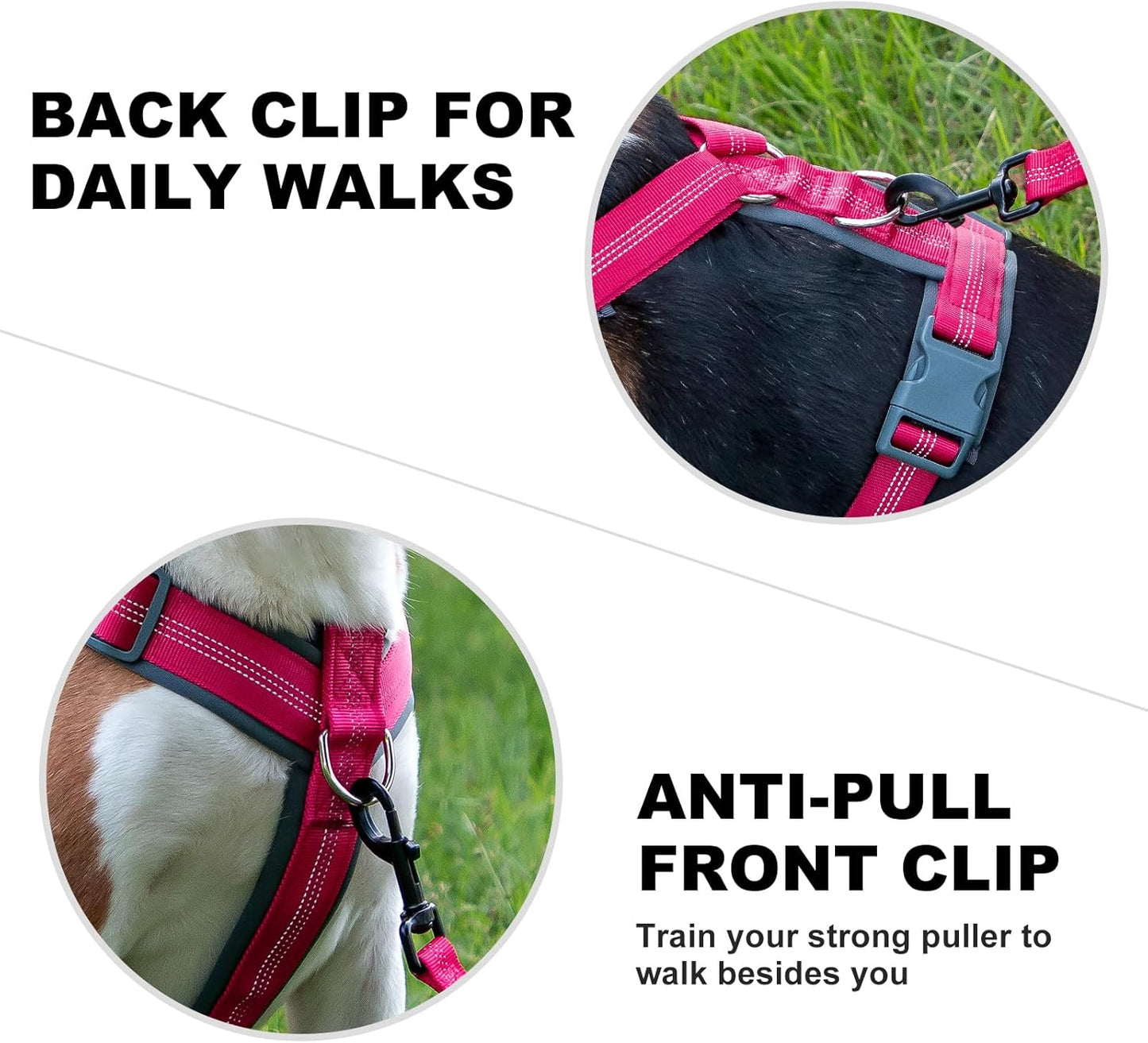 Plutus Pet No Pull Dog Harness, Adjustable Nylon Harness with Soft Padding, Reflective and Heavy Duty Dog Harness for Small, Medium, Large Dogs(Hot Pink, S)