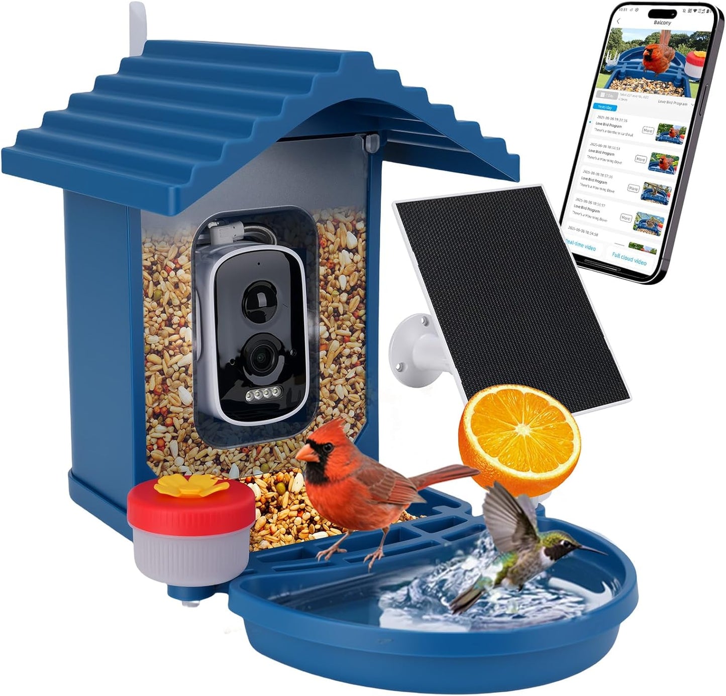 Bird Feeder with Camera Solar Powered,2.5K HD Video Bird House Live View,Smart AI Bird Species Identification for Outside Garden,Birds Bath,Ideal Gift for Birds Lover,Hummingbird (Blue)