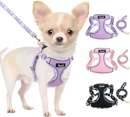 Lukovee No Pull Puppy Harness and Leash Set - Soft Lightweight Escape Proof Puppy Vest Harness, Breathable Adjustable Pet Harness with Dog Leash for Small Dogs (Purple, XS)