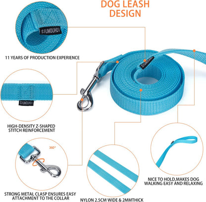 Strong Durable Nylon Dog Training Leash, 1 Inch Wide Traction Rope, 10 ft Long, for Small and Medium Dog (Mint Blue, 10 Feet)