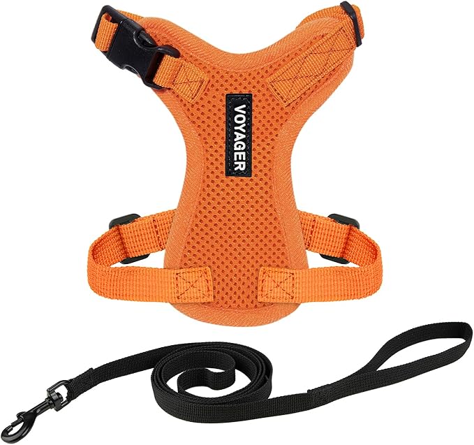 Voyager Step-in Lock Adjustable Cat Harness w. Cat Leash Combo Set with Neoprene Handle 5ft - Supports Small, Medium and Large Breed Cats by Best Pet Supplies - Orange, XXS