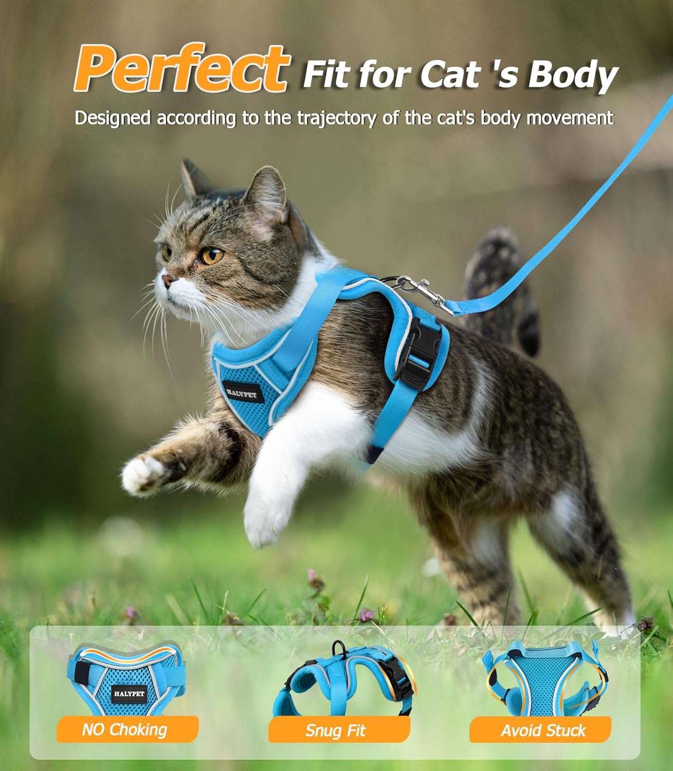 Halypet Cat Harness and Leash Set [MAX Safety 4th-Gen Upgrade] Escape Proof Adjustable Cat Leash Comfortable Soft Vest Easy to Wear Kitten Harness with Reflective Strip for Cats Walking, XS SkyBlue