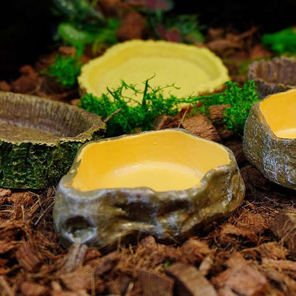 2 Pack Reptile Food and Water Bowls, Resin Simulation Feeding Dishes for Lizards Snakes Tortoises, Terrarium Decorative Landscape Bowls