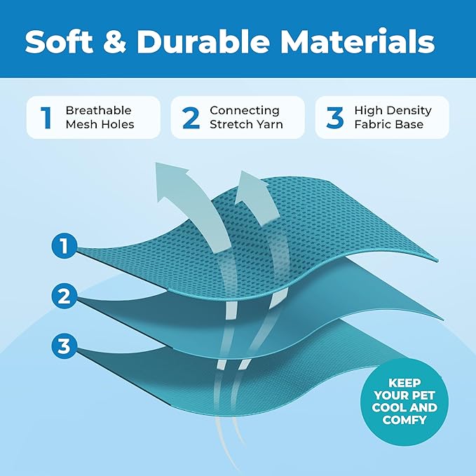 Voyager Escape Proof Cat Harness and Leash Set with Reflective Stitching, Neoprene Handle 5ft - Supports Small, Medium and Large Cats, Kittens for Walking by Best Pet Supplies - Turquoise, S