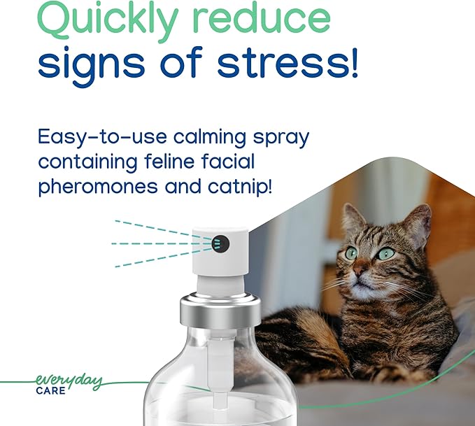 Virbac Zenifel Cat Spray for Managing Stress-Related Behaviors in Kittens & Cats - Quick-Acting - Ideal for Unexpected Stressful Situations - 1 Bottle