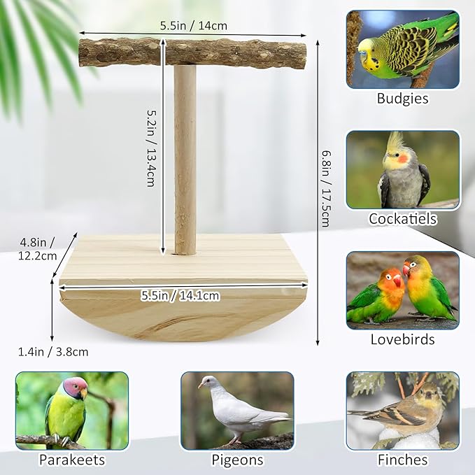 kathson Bird Training Stand, Parakeet Playground Bird Perch Platform Portable Tabletop Parrot Perch Cockatiel Stand perches T Shaped Conures Play Platform for Parakeets Conures Lovebirds Cockatiels