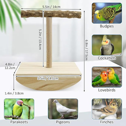 kathson Bird Training Stand, Parakeet Playground Bird Perch Platform Portable Tabletop Parrot Perch Cockatiel Stand perches T Shaped Conures Play Platform for Parakeets Conures Lovebirds Cockatiels