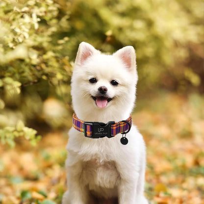 Halloween Dog Collar, Colorful Plaid Dog Collar for Small Dogs, Fall & Winter Puppy Collars with Lightweight Plastic Buckle, Cute Plaid Pet Collars for Girl Boy Dogs,XS