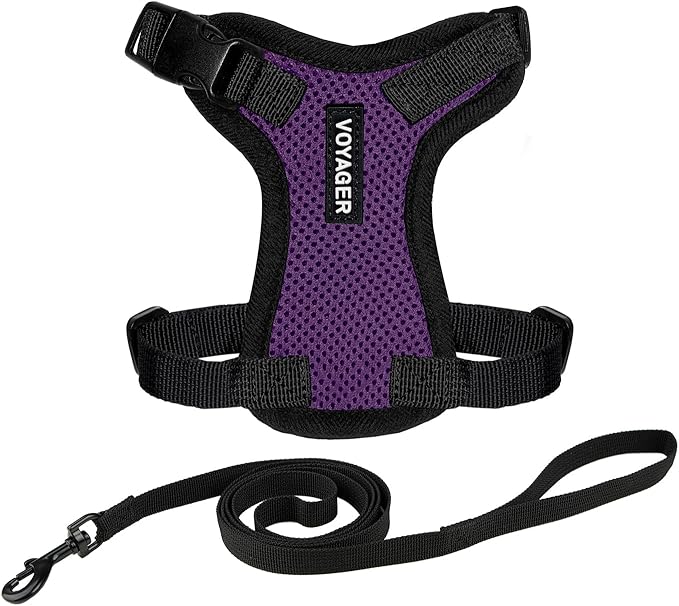 Voyager Step-in Lock Adjustable Cat Harness w. Cat Leash Combo Set with Neoprene Handle 5ft - Supports Small, Medium and Large Breed Cats by Best Pet Supplies - Purple/Black Trim, XXXS