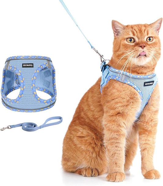 Rttochfy Cat Harness and Leash Set, Escape Proof Kitten Harness, Soft and Breathable Vest with Reflective Strip, Easy to Wear for Cats Walking and Traveling (Blue, XXS)