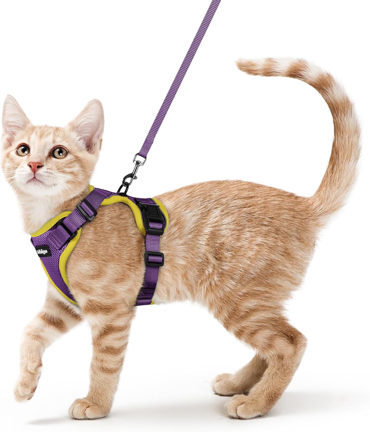 rabbitgoo Cat Harness and Leash for Walking, Escape Proof Soft Adjustable Vest Harnesses for Cats, Easy Control Breathable Reflective Strips Jacket, Purple&Yellow,S