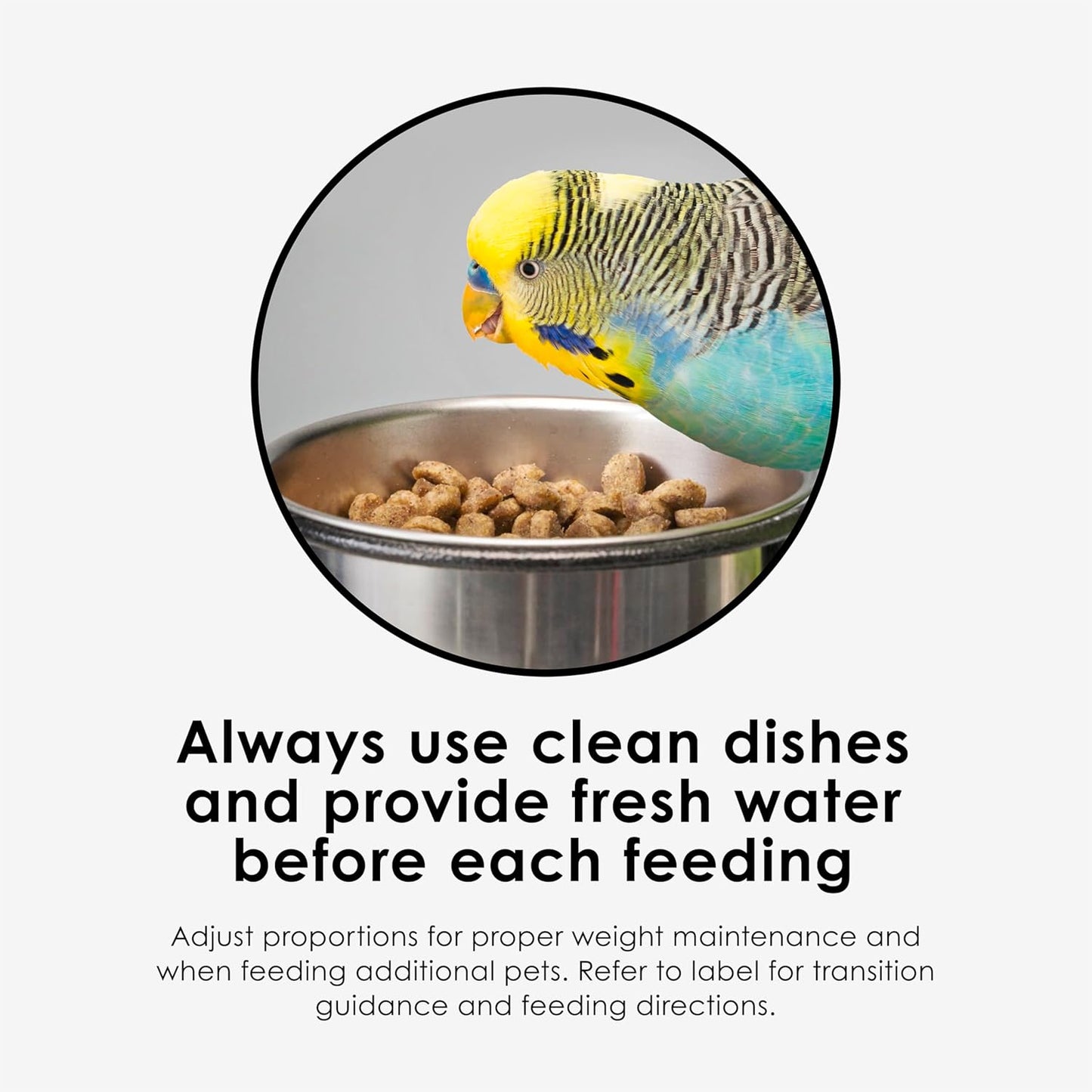 Kaytee NutriSoft Pet Parakeet & Cockatiel Bird Food, 2 lb