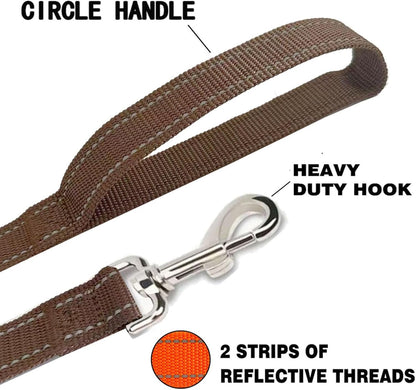 Reflective Dog Leash 4Ft /5 Foot /6 Feet Long, 1 Inch Wide, for Small and Medium Dogs
