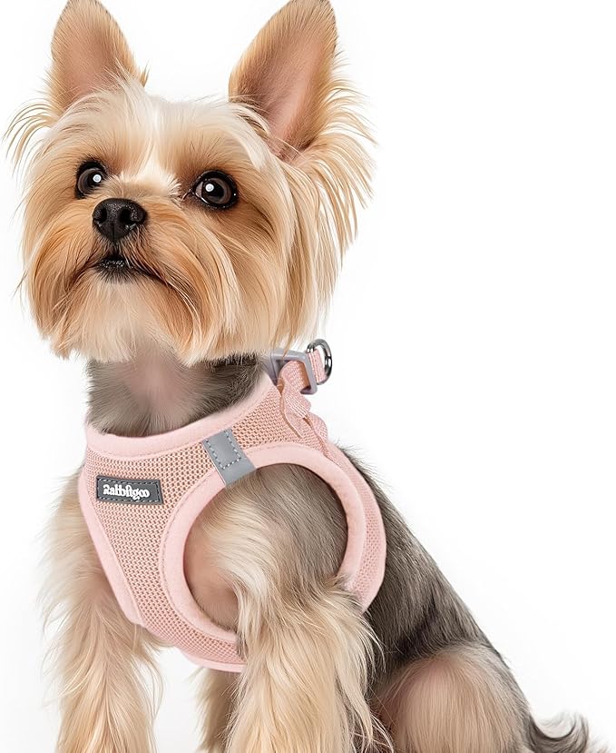 rabbitgoo Small Dog Harness, Step-in Soft Mesh Puppy Vest with Safety Buckle, Breathable Reflective Pet Harness for Small Sized Dogs, Pink XS