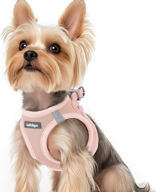 rabbitgoo Small Dog Harness, Step-in Soft Mesh Puppy Vest with Safety Buckle, Breathable Reflective Pet Harness for Small Sized Dogs, Pink XS