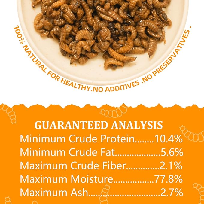 6 Pack Canned Black Soldier Fly Larvae for Reptiles, Fish, Birds and Small Animals, BSF, Healthy High Protein Treat, Reptile Bird Fish Food 7.2 Ounces Total