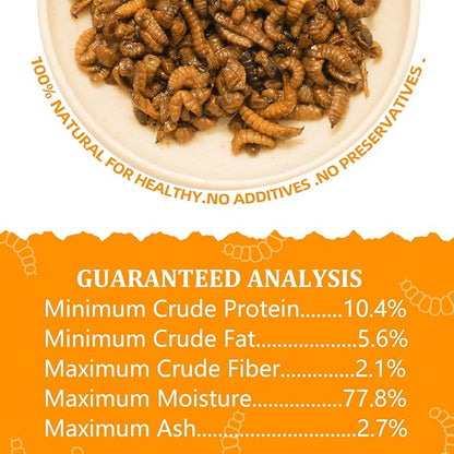 6 Pack Canned Black Soldier Fly Larvae for Reptiles, Fish, Birds and Small Animals, BSF, Healthy High Protein Treat, Reptile Bird Fish Food 7.2 Ounces Total