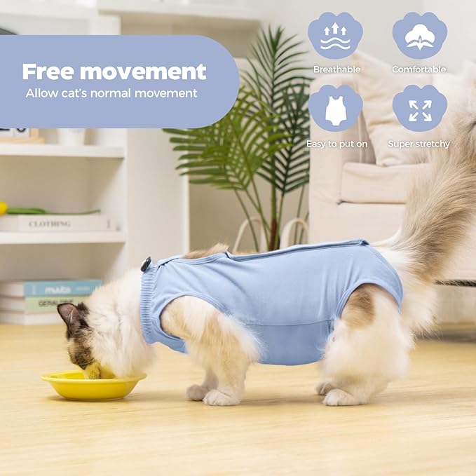 Avont Cat Recovery Suit Post-Surgery Onesie, Breathable Cone-of-Shame Alternative Bodysuit for Spayed Female Kittens, Skin Abdonminal Wound Care -Blue(L)