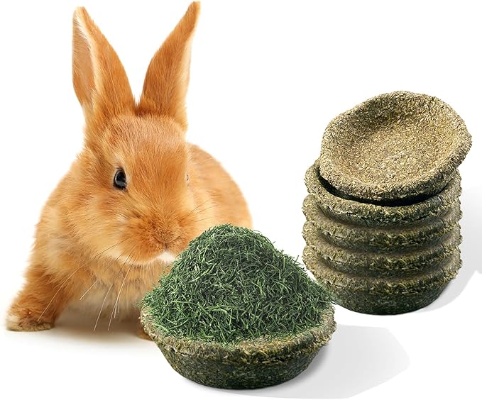 5 Pack Furry Timothy Hay Chewing Bowl for Guinea Pig & Bunnies,Edible Guinea Pig Food,Guinea Pig Toys, Bunny Toys