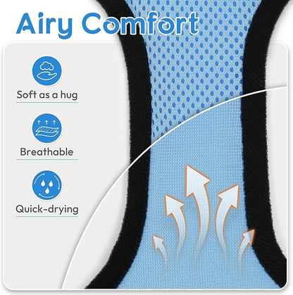 Dooradar Cat Harness and Leash Set, Escape Proof Safe Adjustable Kitten Vest Harnesses for Walking, Easy Control Soft Breathable Mesh Jacket with Reflective Strips for Cats, Light Blue, S