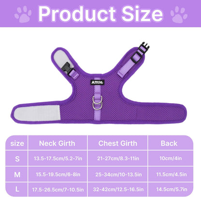 AIITLE Lightweight Escape Bunny Harness and Leash Set - Air Mesh Vest with Double D-Rings, Adjustable & Magic Tape Design, for Ferret/Cat/Puppy Training and Hiking Adventures, Purple L