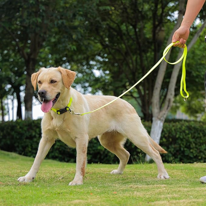 Waterproof Dog Leash, 5/6 FT Durable Odor-Proof Dog Leashes with Strong Metal Hooks Fits Small Medium or Large Dogs (Yellow, 5FT - 3/4 inch Width)